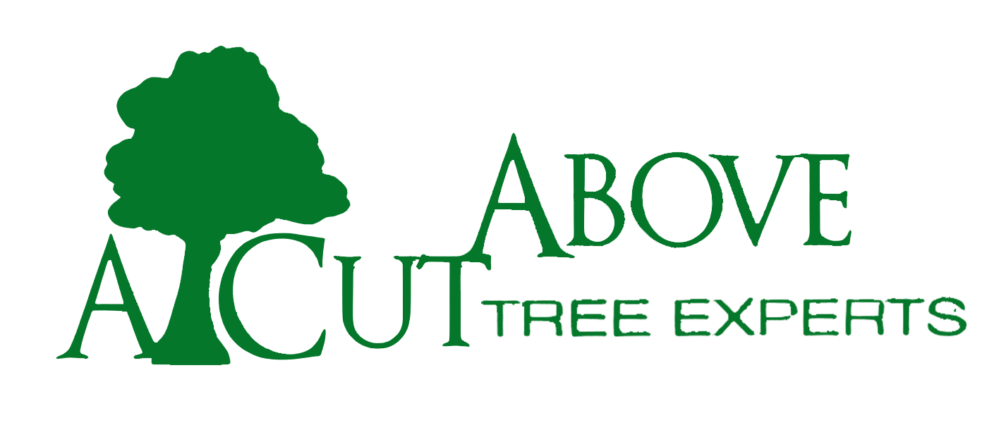 A Cut Above Tree header logo