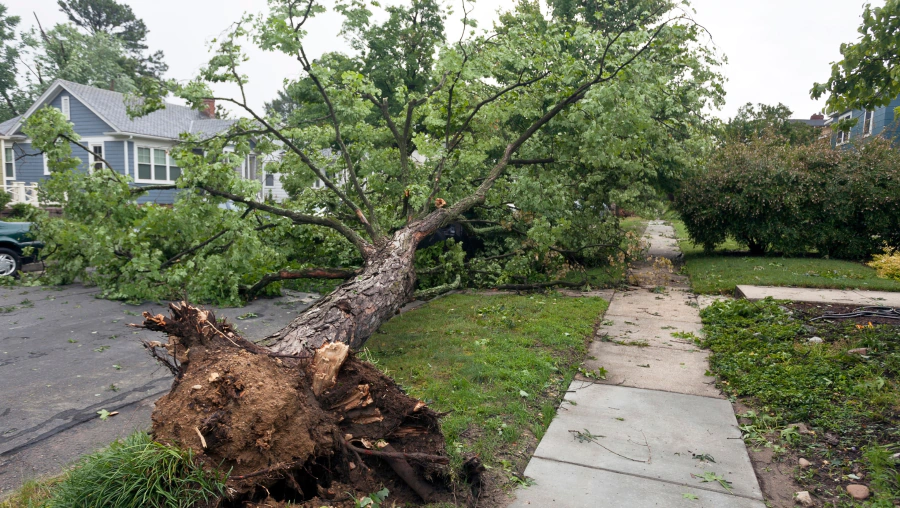 Storm Damage Cleanup
